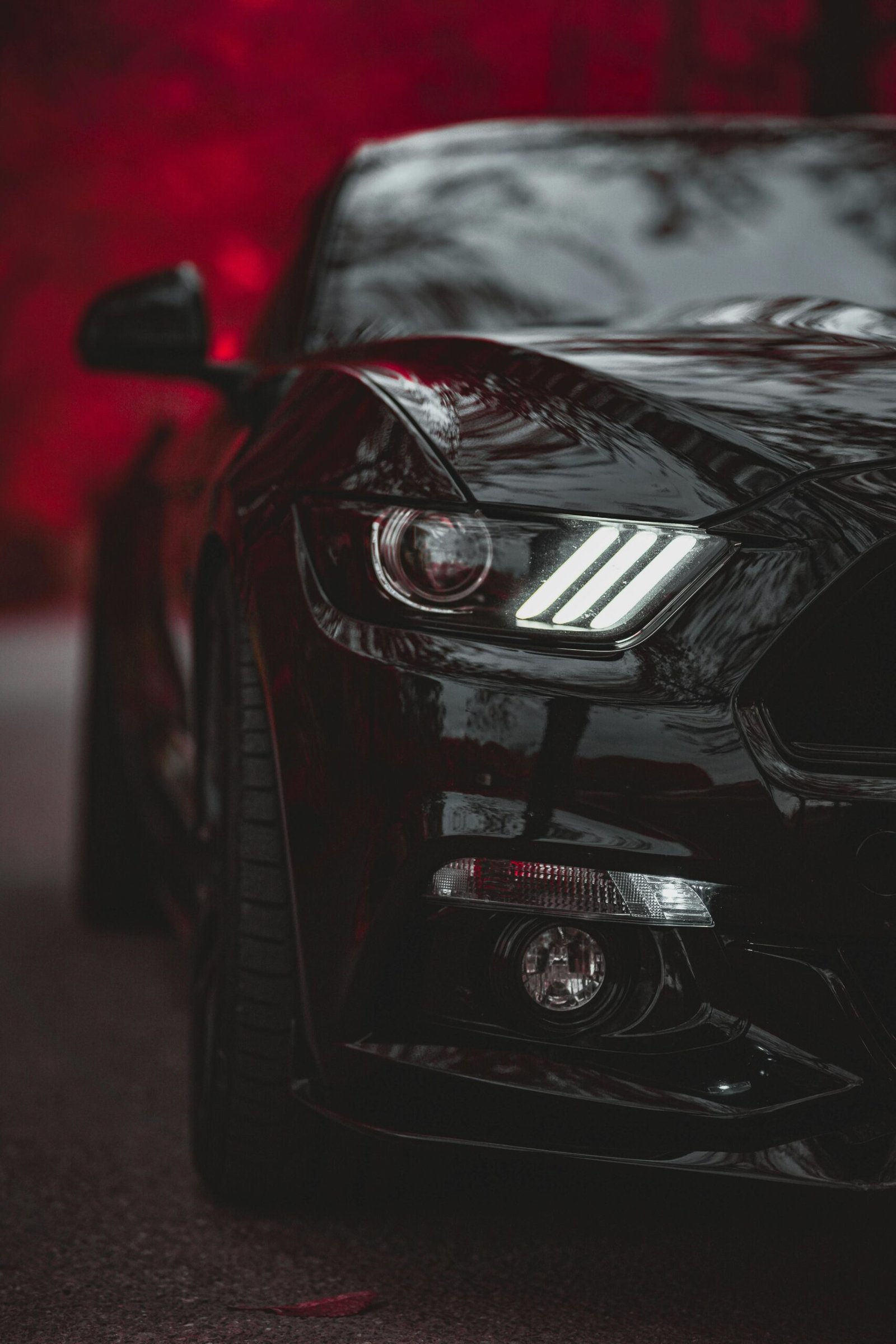 pexels highervibration 6584051 scaled